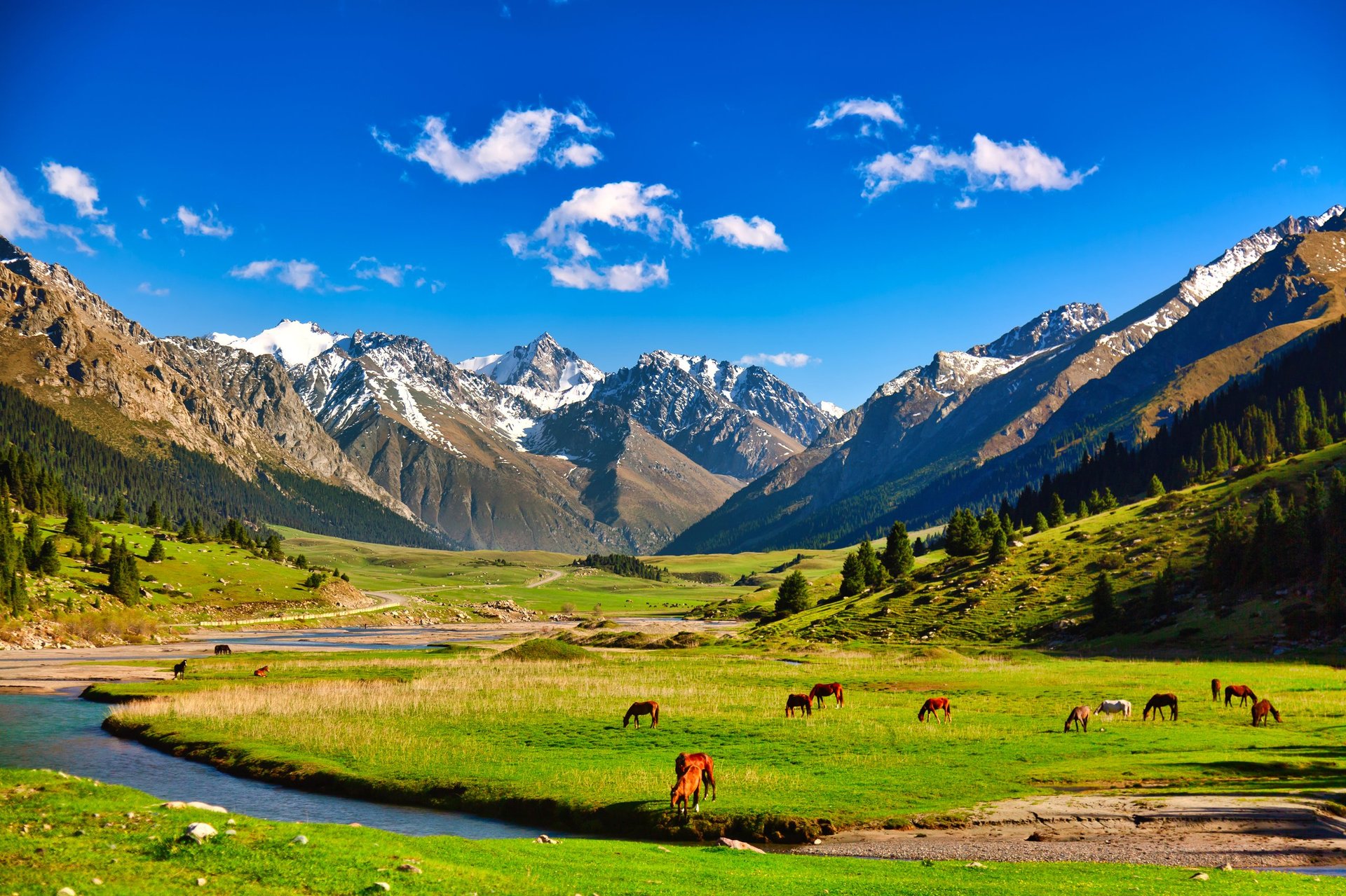 Kyrgyzstan nature landscape with green alpine meadows